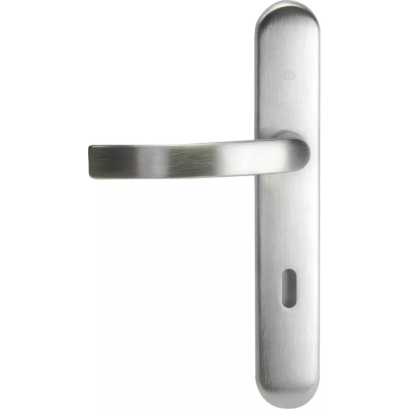 Poignée de porte Bricard ePURE