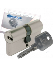 Bricard Serial XP cylinder
