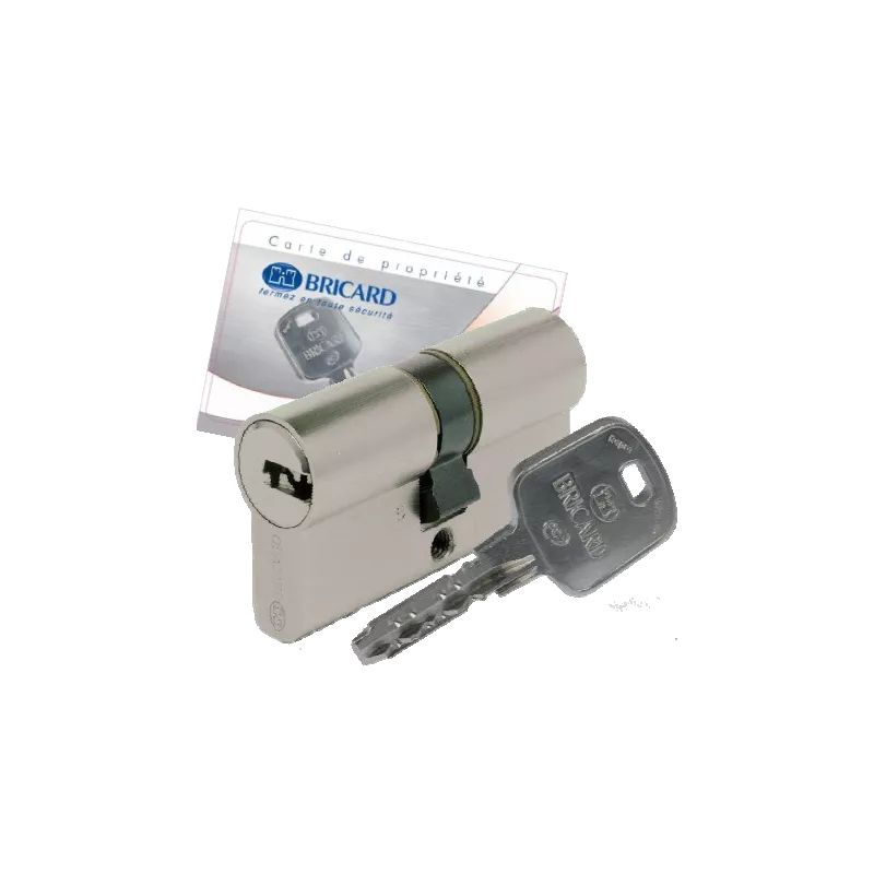 Bricard Serial XP cylinder