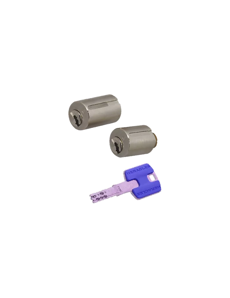 Jeu de cylindres Heraclès HQ2 adaptable Vachette Radial