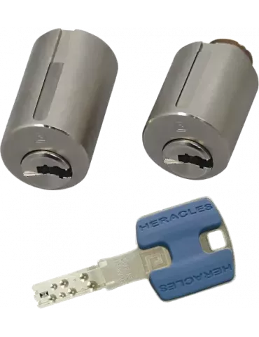 Jeu de cylindres Heraclès HQ2 adaptable Vachette Radial