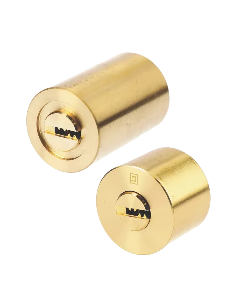 Heracles Y7+ cylinder Cavith compatible