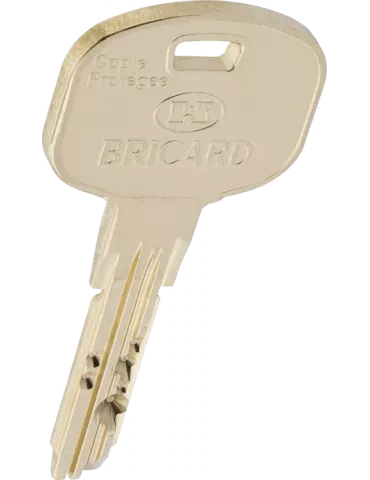 Clé Bricard Tertial