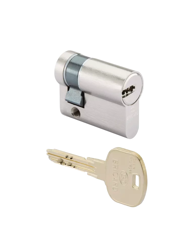 Bricard Tertial single input lock cylinder