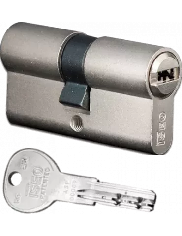 Iseo R6 SPI lock cylinder