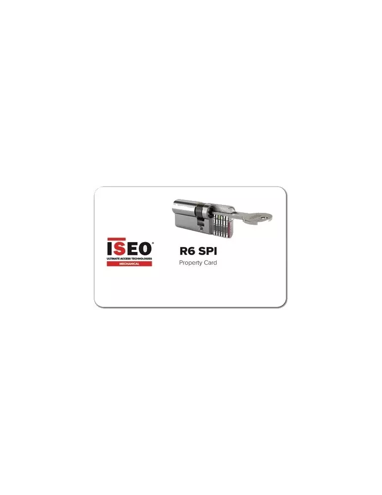Cylindre Iseo R6 SPI