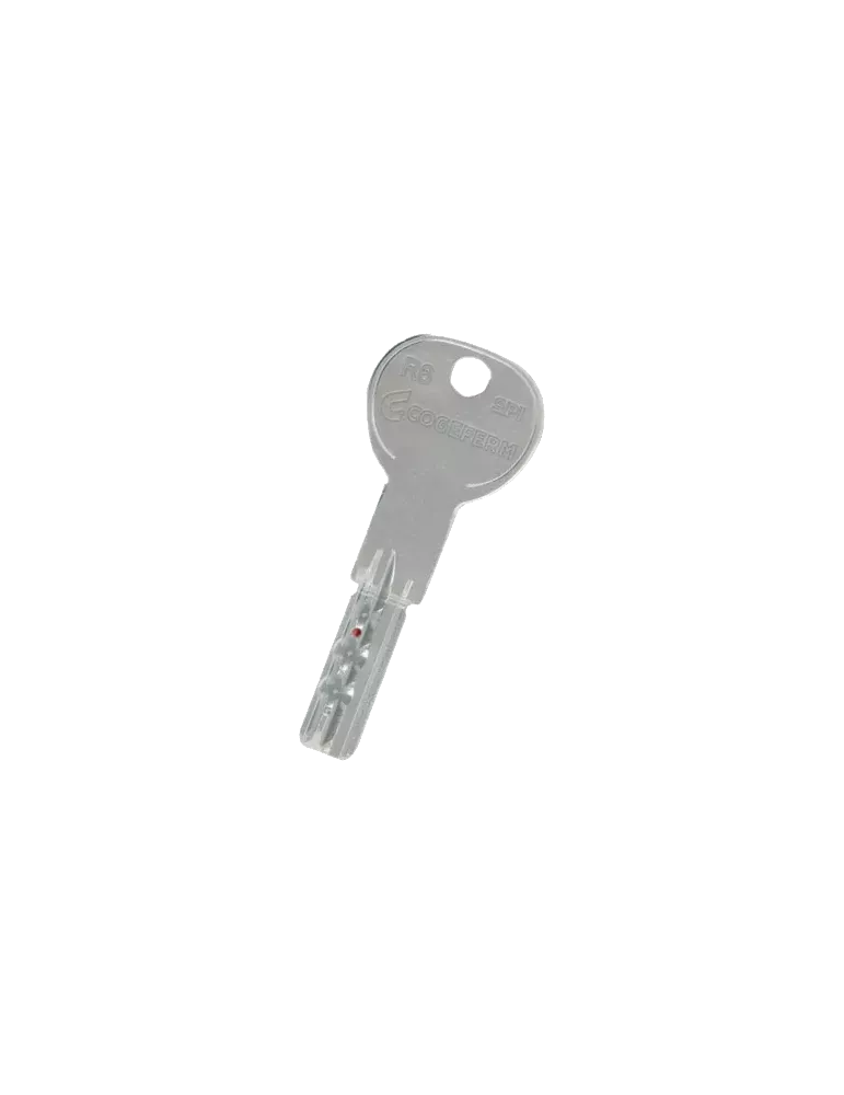 Iseo R6 SPI lock cylinder