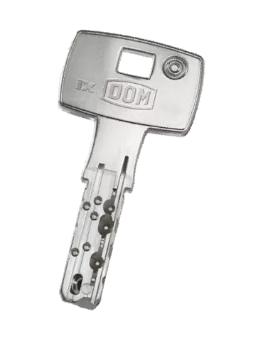 DOM IX Saturn duplicate key
