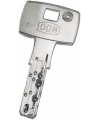 DOM IX Saturn duplicate key