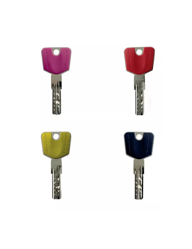 Cylindre double entrées Heracles Y8C