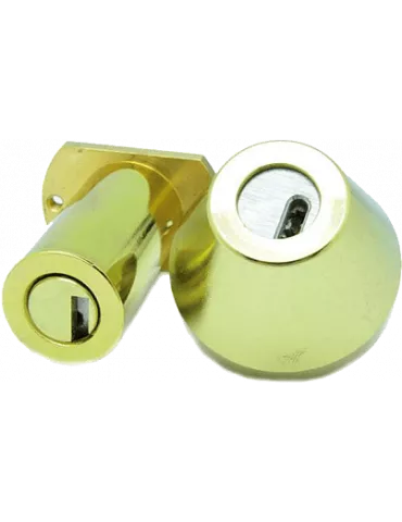 Medeco Duracam cylinder adaptable on Picard Trident