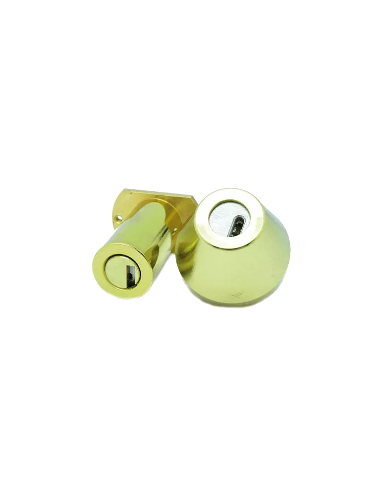 Medeco Duracam cylinder adaptable on Picard Trident