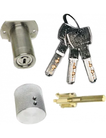 CYC 44 cylinder adaptable on Picard Trident