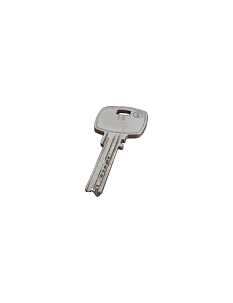 Tesa Mini 8 Duplicate Key