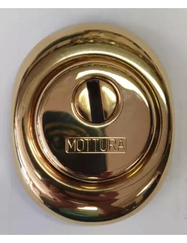 Protecteur DF082 pour serrure Mottura à cylindre européen