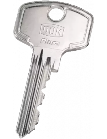 DOM Plura key duplication