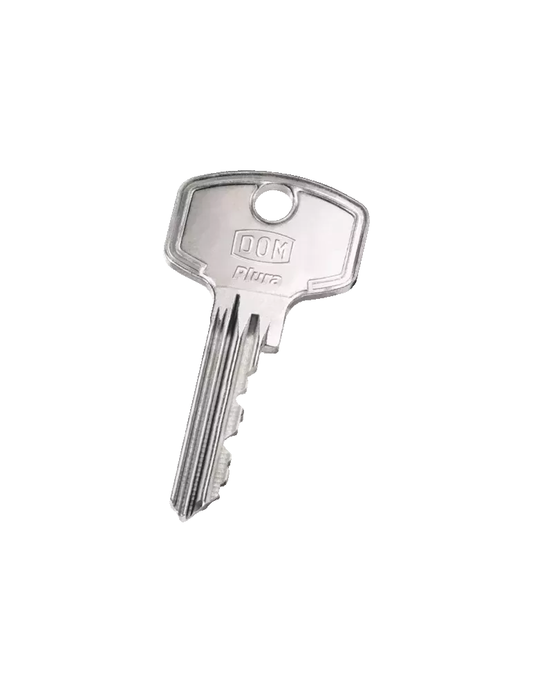 DOM Plura key duplication