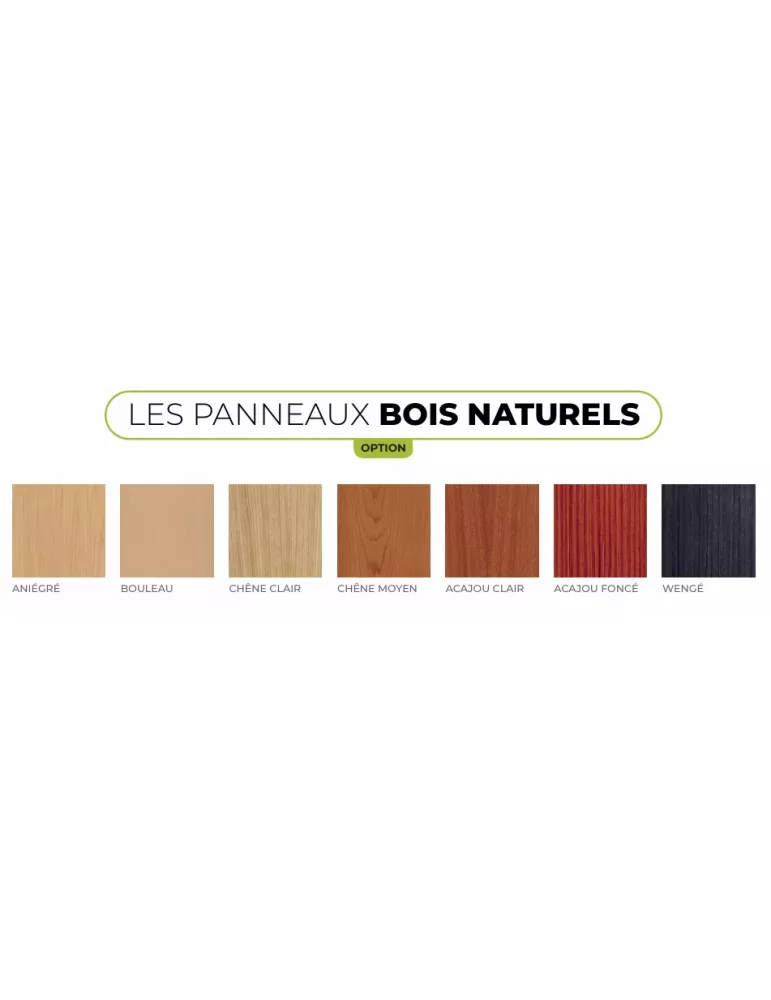 Porte blindée Fichet FOXEO+ XP A2P BP3 – Porte d’appartement