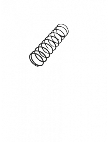 Latch Spring for Picard Ermetis Lock | Replacement Part