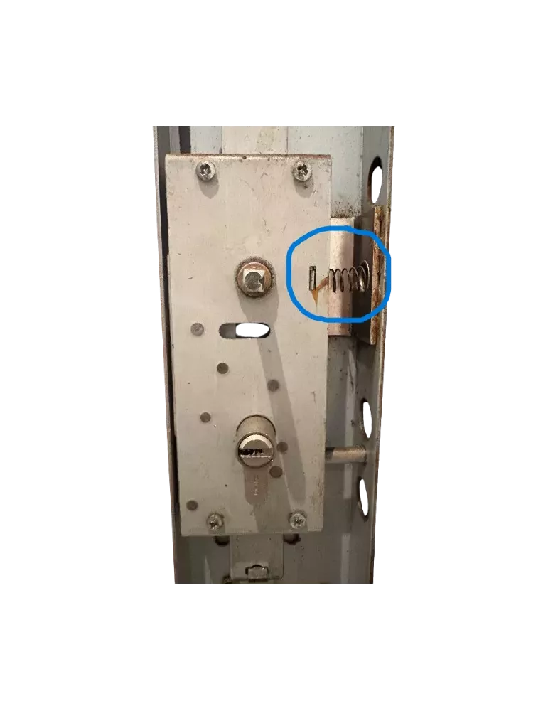 Latch Spring for Picard Ermetis Lock | Replacement Part