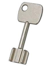 Additional key ISEO Perfecta