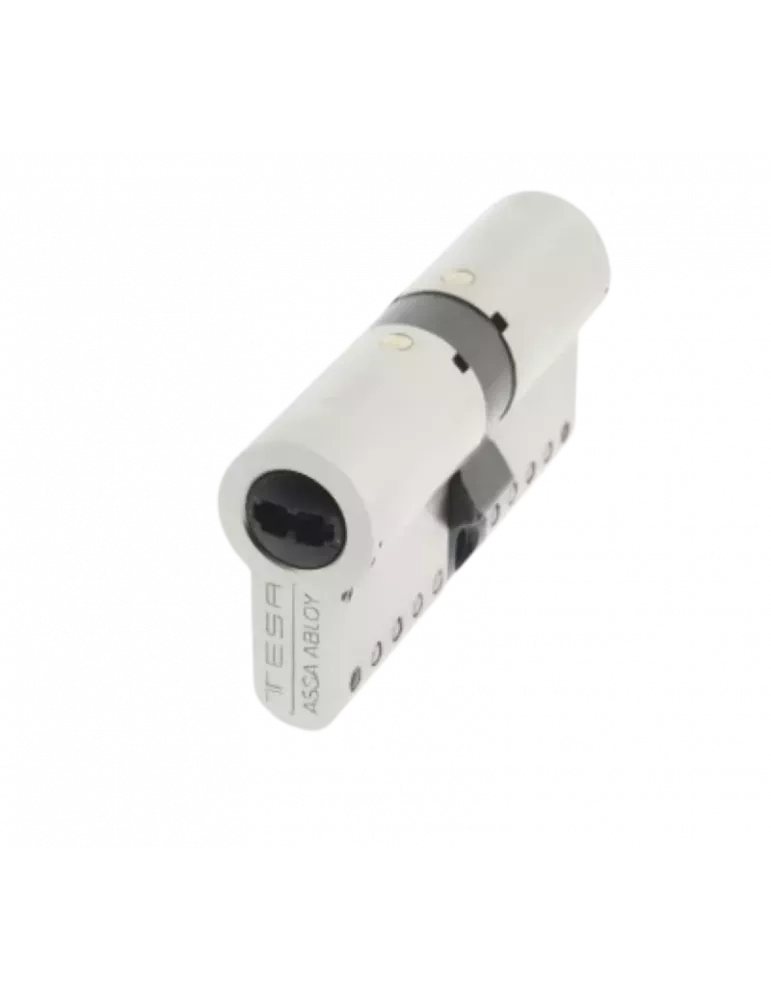 TESA TK100 Double Euro Cylinder | High Security | A2PRO