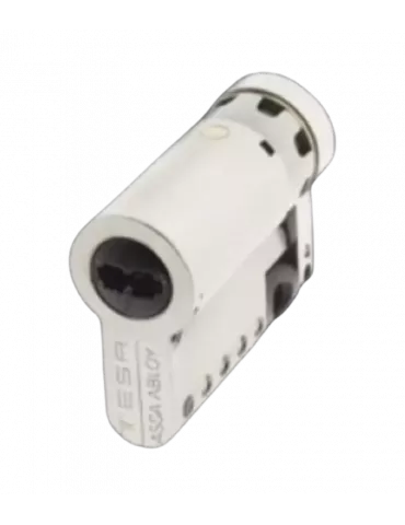 TESA TK100 half cylinder | High security | A2PRO