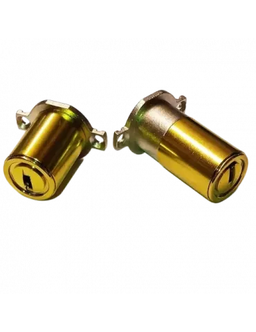 Cylinder set Mottura C28plus adaptable Fichet 484