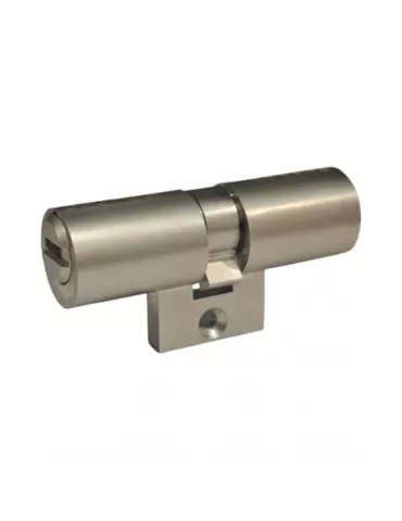 ABUS VLR11 SKG** Adaptable Cylinder for Bricard Bloctout – A2pro Serrurerie