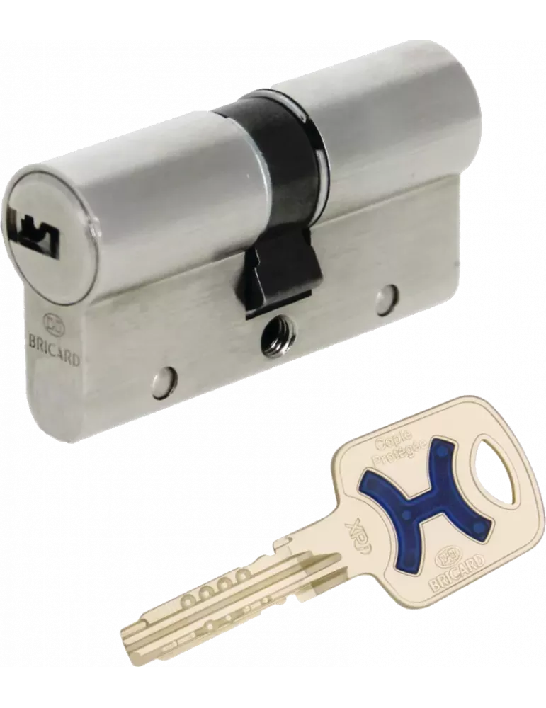 Cylindre Bricard Serial XPi double entrées