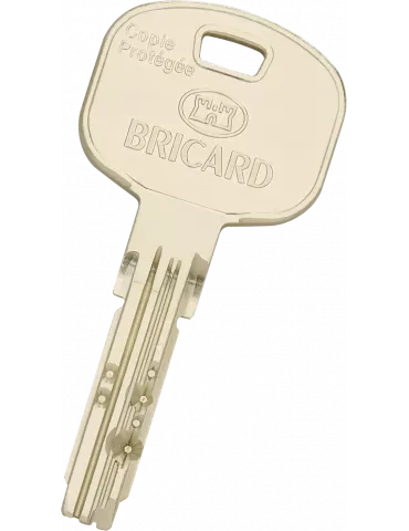 Bricard Tertial key duplication