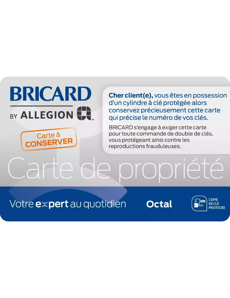 Clé Bricard Octal Passe Partiel/Général