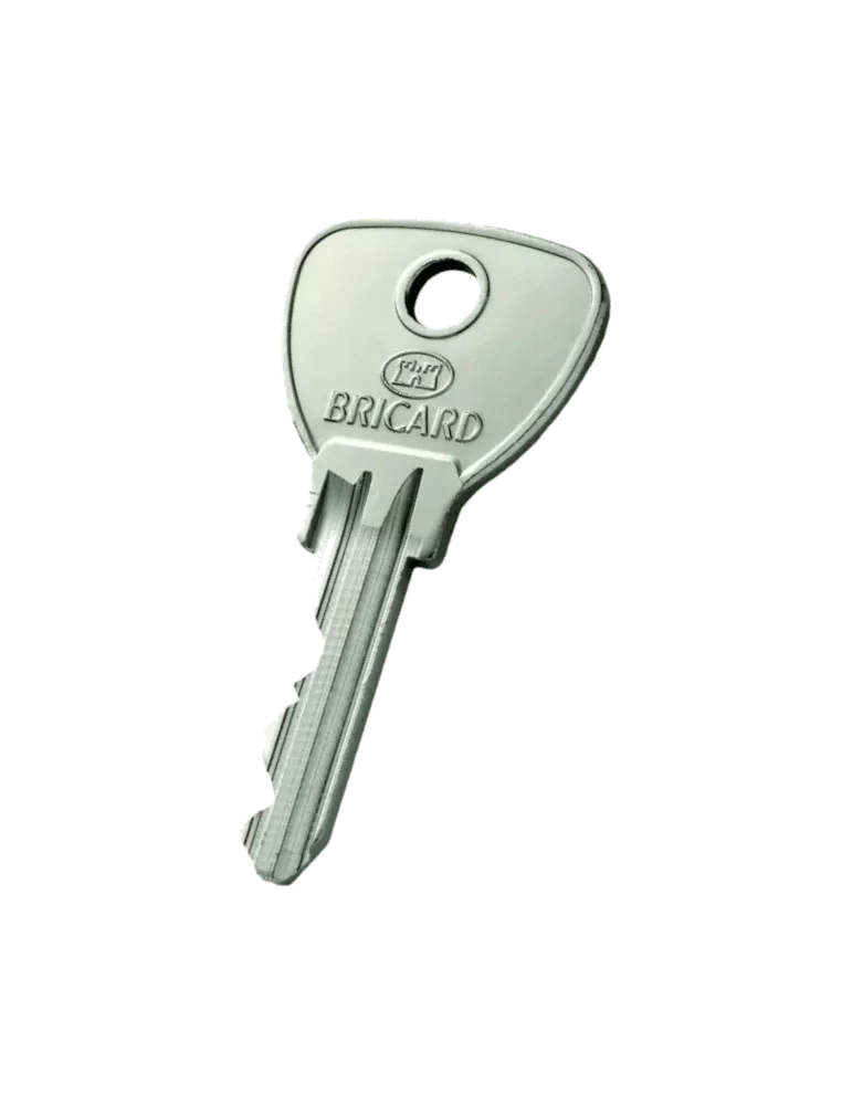 Clé Bricard Alpha Passe