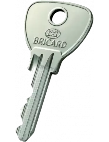 Double de clé Bricard Alpha