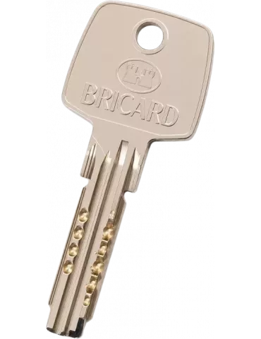 Bricard Astral Trial S 2.9 key duplicate