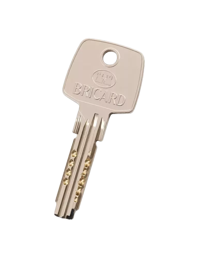 Bricard Astral Trial S 2.9 key duplicate