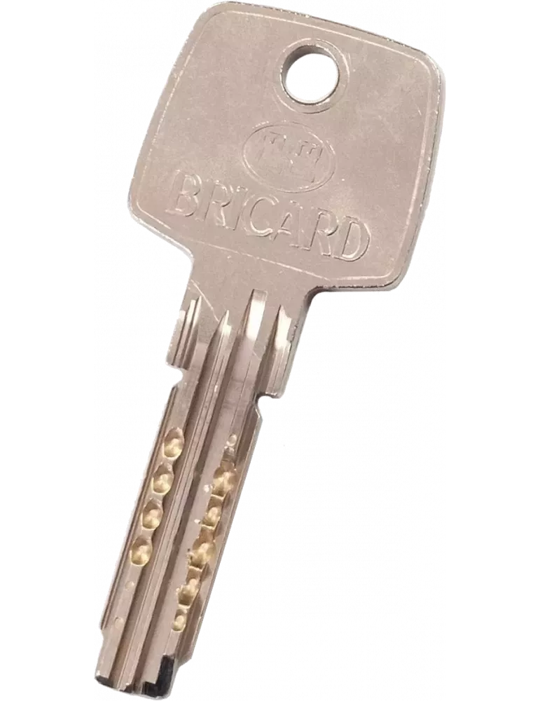 Bricard Astral Trial S 2.9 key duplicate