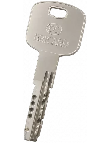 Bricard Mistral S Key duplicate