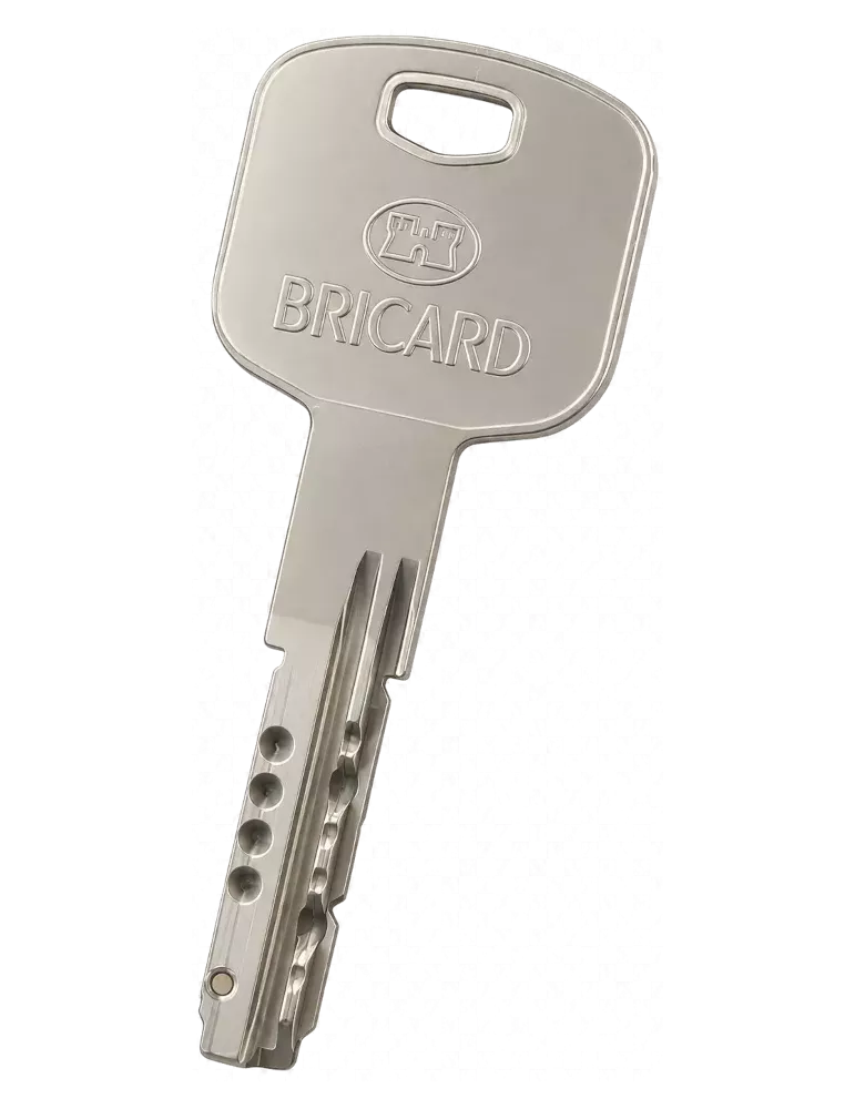 Bricard Mistral S Key duplicate