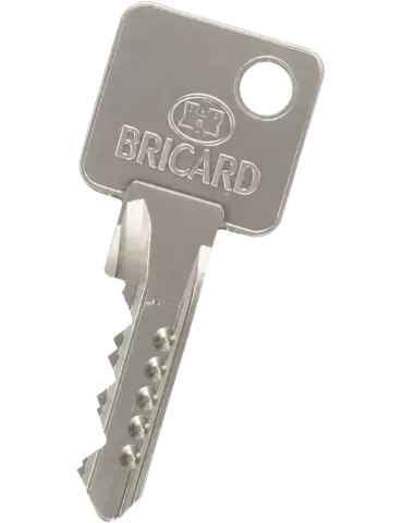 Clé Passe PP/PG Bricard Spectral