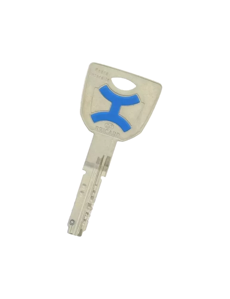 copia di Chiave Bricard Dual XP - XP S2
