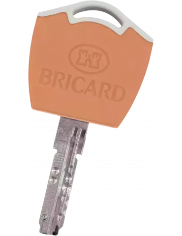 Bricard Dual XP S2 Bipass key