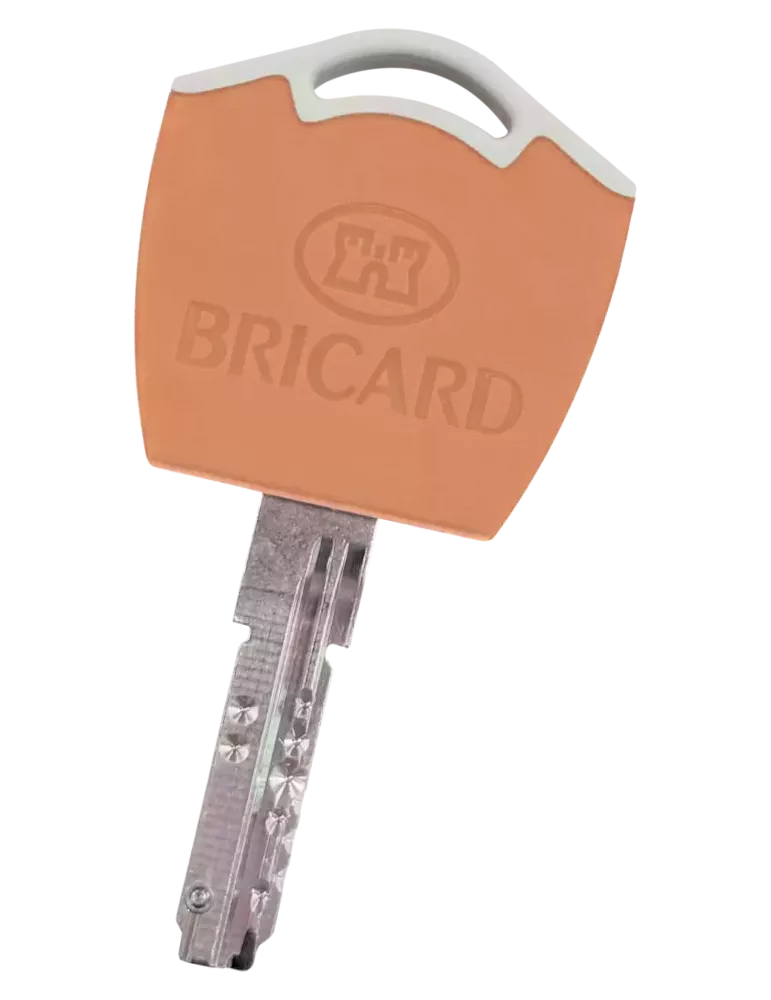 Bricard Dual XP S2 Bipass key