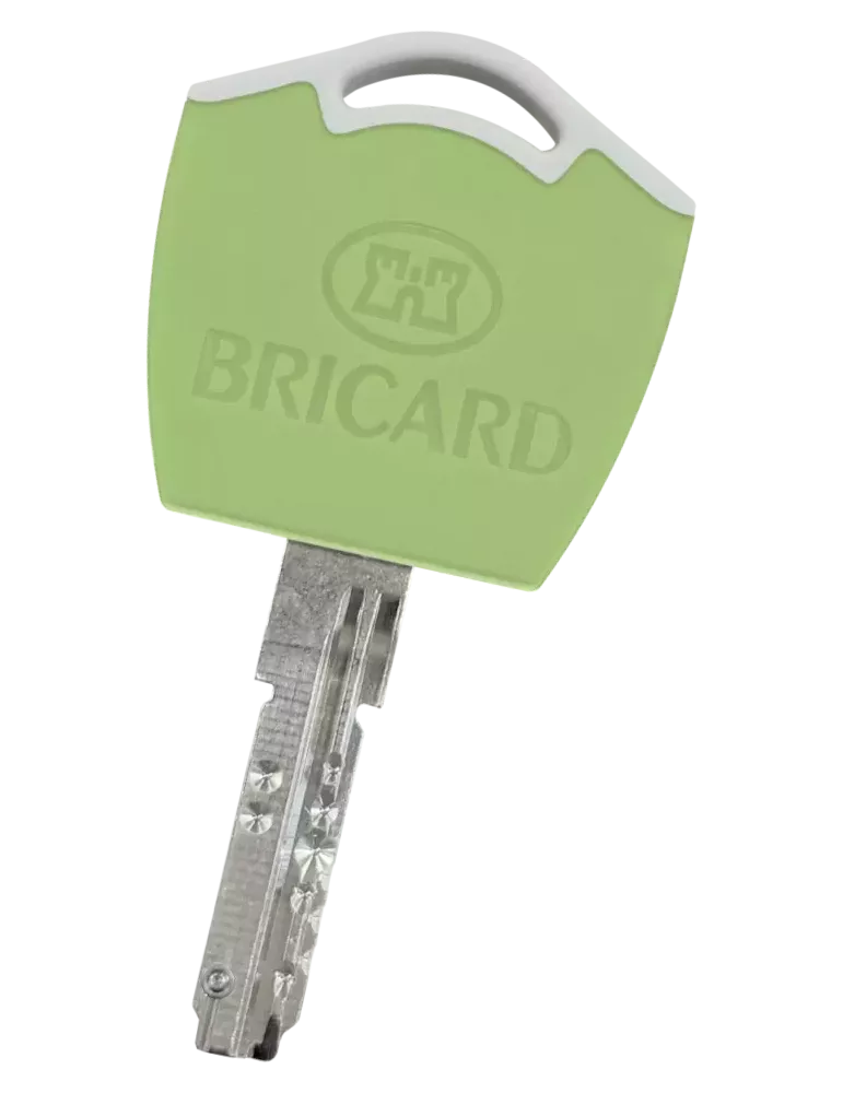 Bricard Dual XP S2 Bipass key