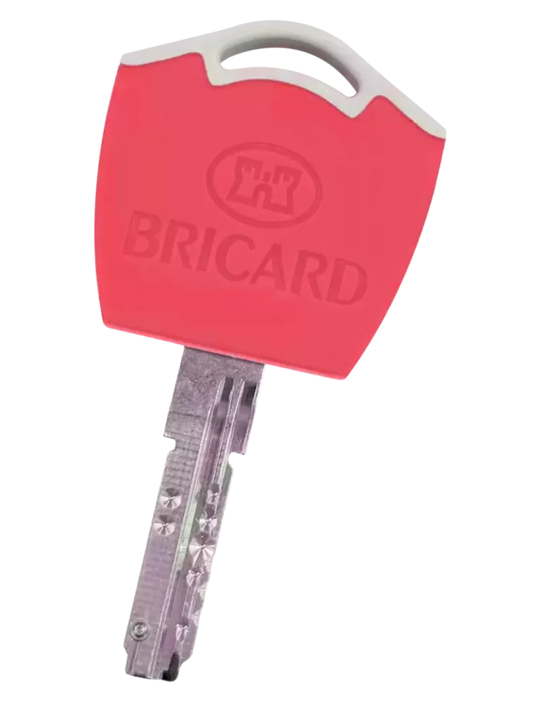 Bricard Dual XP S2 Bipass key
