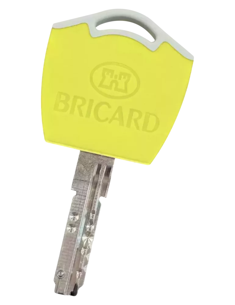 Bricard Dual XP S2 Bipass key