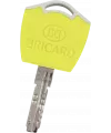 Bricard Dual XP S2 Bipass key