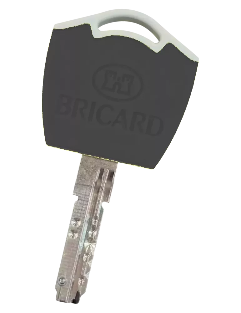 Bricard Dual XP S2 Bipass key