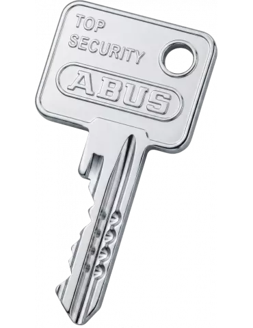 Double de clé Abus TS5000