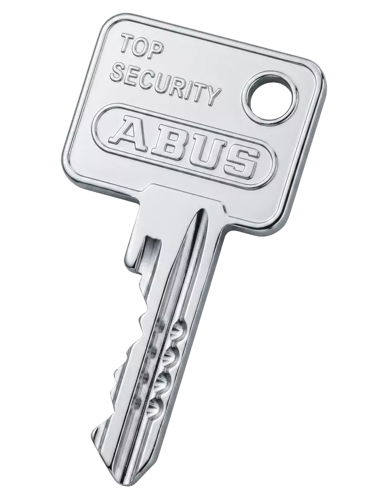 Double de clé Abus TS5000